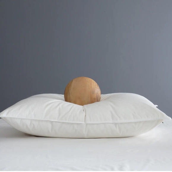 NWOT QUINCE Premium Down Alternative Pillow Soft Standard 4044 - Picture 1 of 11